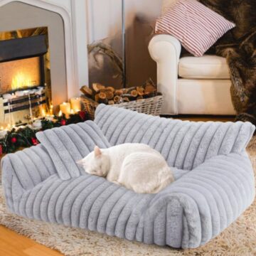 Cozy cat couch bed placed in a living room setting for indoor cats