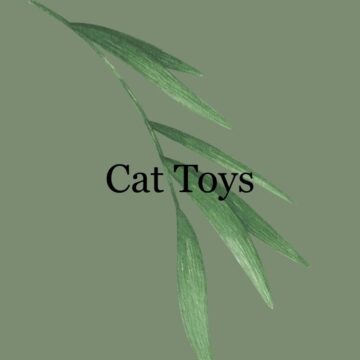 Cat Toys