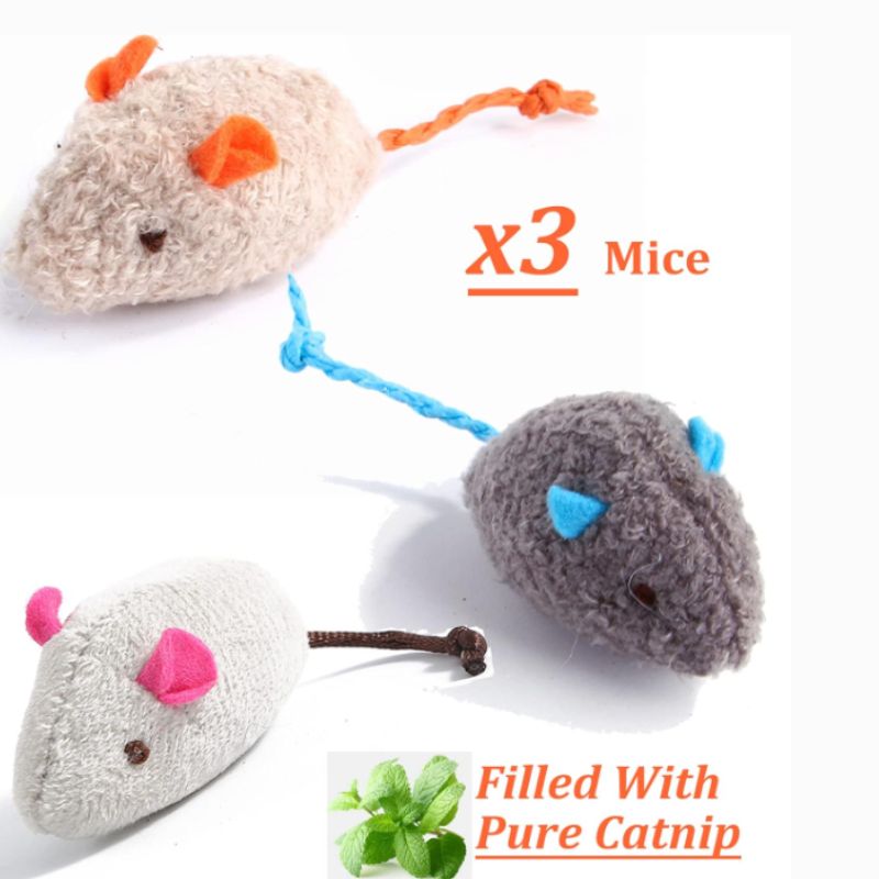 Catnip Toys for Cats – 12-Pack Silvervine & Organic Chew Toys | Willow Haven Co Catnip Toys for Cats – 12-Pack Silvervine & Organic Chew Toys - Image 2