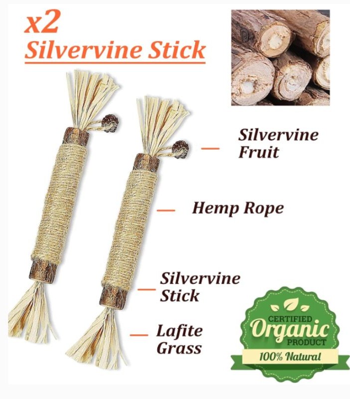 Catnip Toys for Cats – 12-Pack Silvervine & Organic Chew Toys | Willow Haven Co Silvervine sticks catnip toys for cats made with natural silvervine fruit and hemp rope