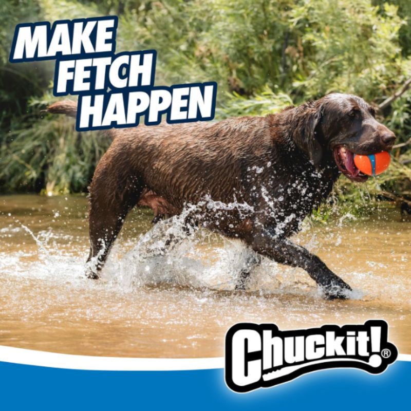 Chuckit! Ultra Ball Dog Toy – XXL 4" Durable Rubber Fetch Ball for Large Dogs | Willow Haven Co Large dog playing fetch with Chuckit! ultra ball XXL outdoors
