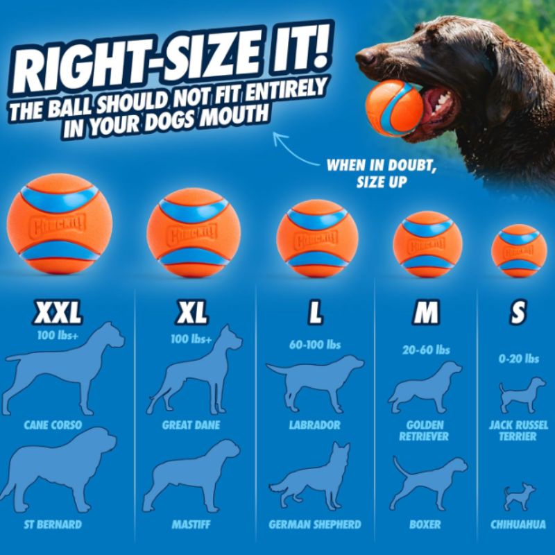 Chuckit! Ultra Ball Dog Toy – XXL 4" Durable Rubber Fetch Ball for Large Dogs | Willow Haven Co Chuckit! ultra ball size guide XXL for dogs over 100 pounds