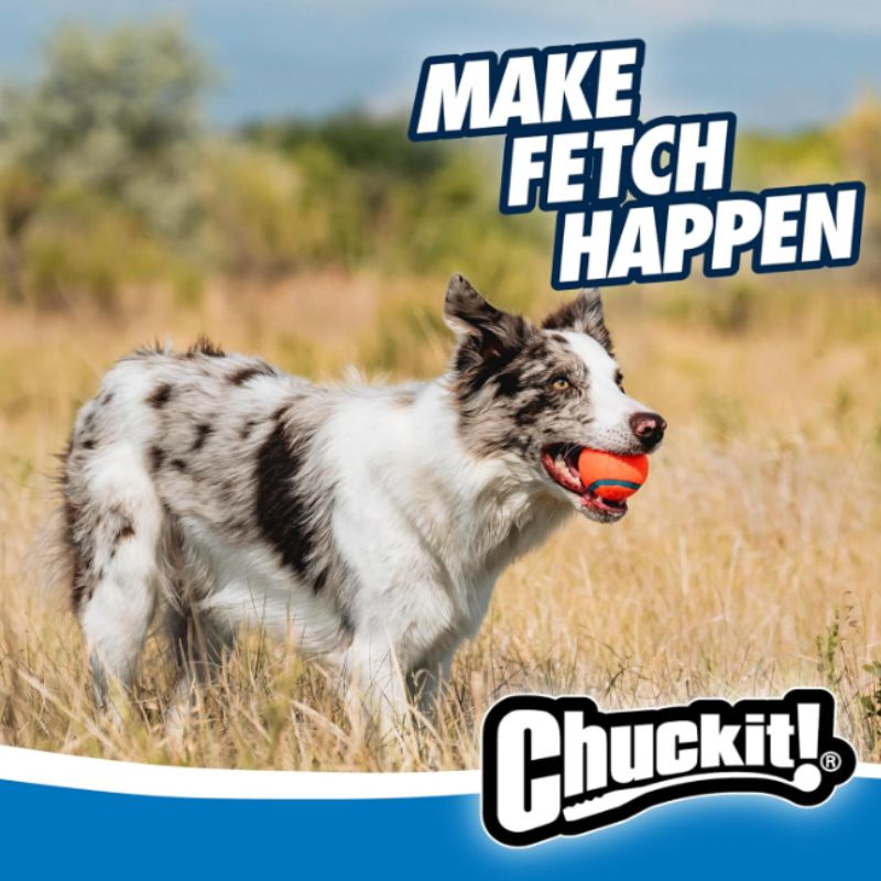 Chuckit! Ultra Dog Ball Launcher & Fetch Ball Bundle – 26" Classic with 3 Medium Balls | Willow Haven Co Dog playing fetch outdoors with Chuckit! ball and launcher