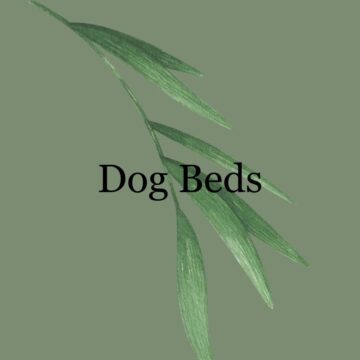 Dog Beds