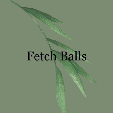 Fetch Balls
