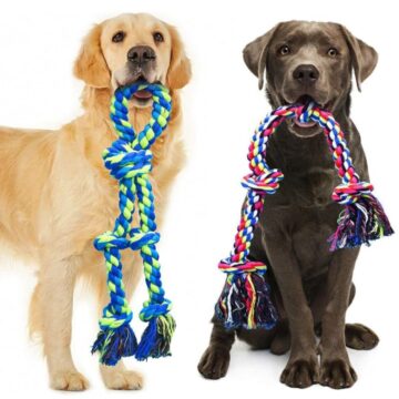 Two large dogs holding heavy-duty braided cotton rope dog toys for tug and chewing