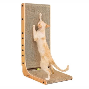 L-shaped cardboard cat scratcher with cat stretching vertically indoors