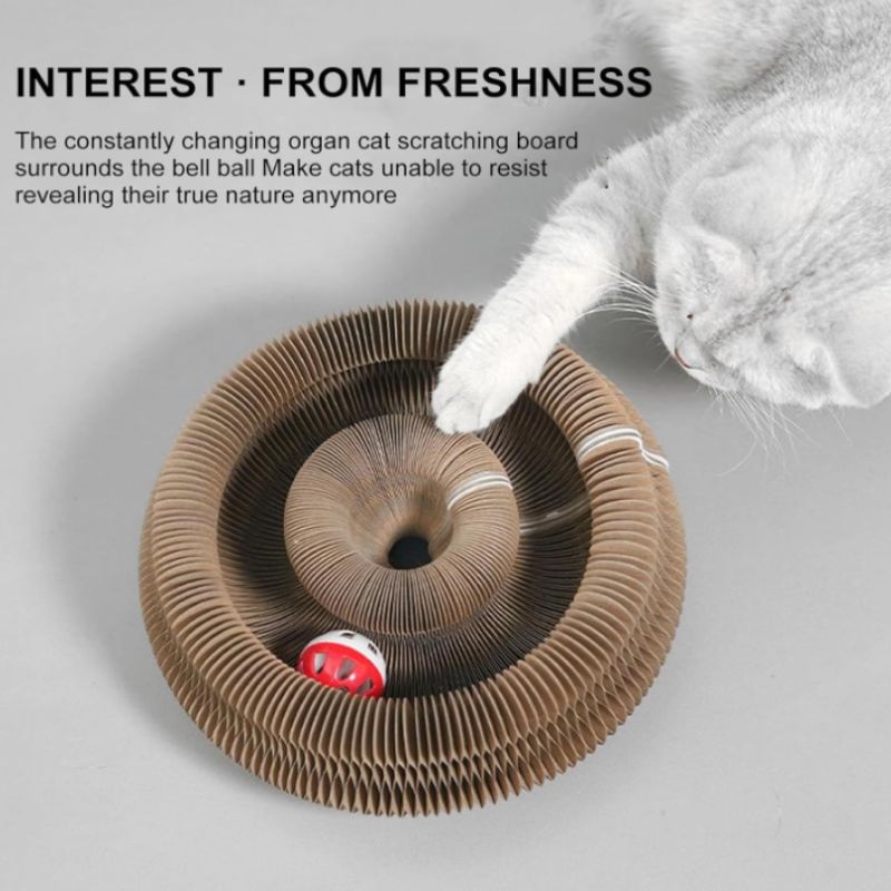 Magic Organ Interactive Cat Toy – Foldable Accordion Scratch Toy with Rolling Ball | Willow Haven Co Foldable accordion cat toy with rolling ball encouraging interactive indoor play