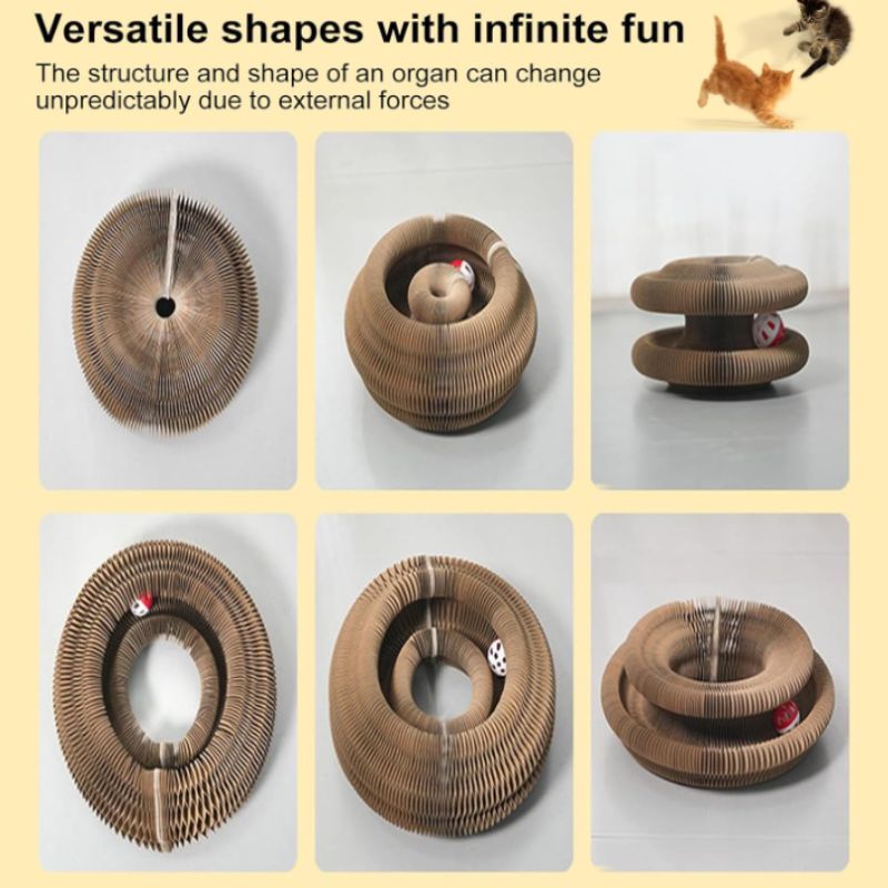 Magic Organ Interactive Cat Toy – Foldable Accordion Scratch Toy with Rolling Ball | Willow Haven Co Magic Organ Interactive Cat Toy shown in multiple foldable shapes for scratching and play