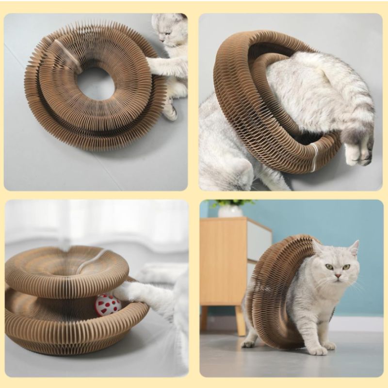Magic Organ Interactive Cat Toy – Foldable Accordion Scratch Toy with Rolling Ball | Willow Haven Co Cat playing with Magic Organ Interactive Cat Toy folded into circular cardboard shape