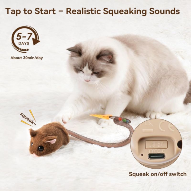 Interactive Rolling Mouse Cat Toy with Motion Sensor & Squeaker | Willow Haven Co Cat activating interactive mouse toy with squeaking sound and USB-C charging port