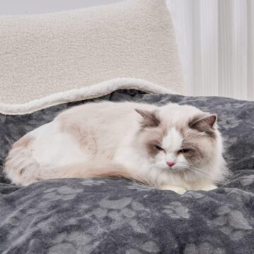 Waterproof sherpa cat blanket in dark grey with cat resting on plush surface