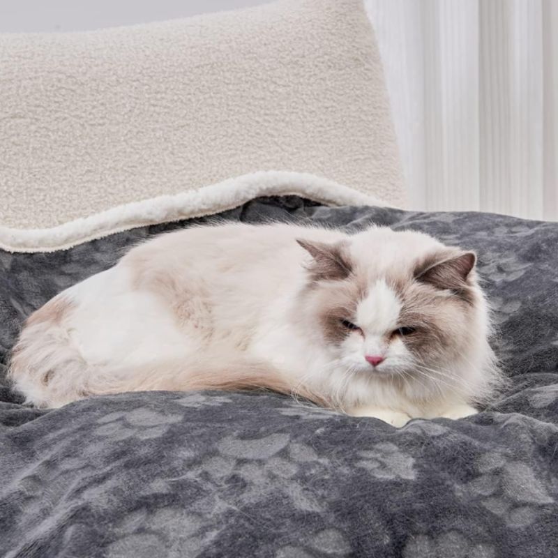 Waterproof Sherpa Cat Blanket – Washable Plush Pet Throw for Beds, Couches & Travel | Willow Haven Co Waterproof sherpa cat blanket in dark grey with cat resting on plush surface