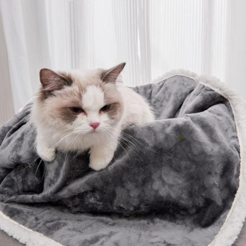 Waterproof Sherpa Cat Blanket – Washable Plush Pet Throw for Beds, Couches & Travel | Willow Haven Co Cat relaxing on bed covered with waterproof sherpa pet blanket
