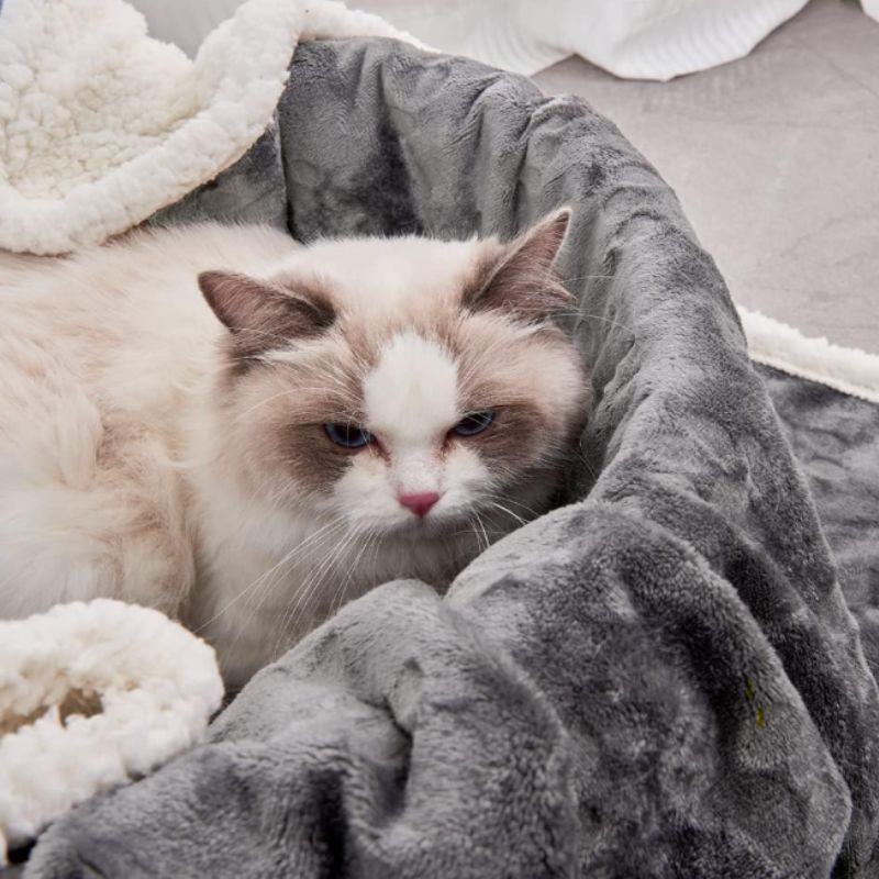 Waterproof Sherpa Cat Blanket – Washable Plush Pet Throw for Beds, Couches & Travel | Willow Haven Co Cat lounging on soft waterproof sherpa cat blanket on bed