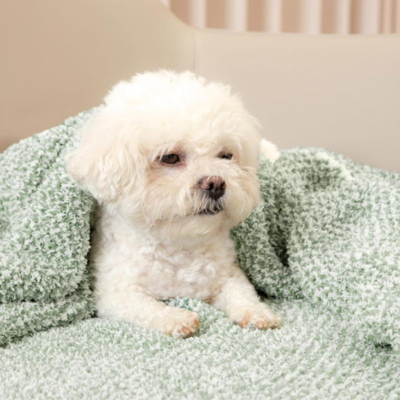 Snuggle Sac Heather Sage Green Throw Blanket – Soft Cozy Knit Throw (50" x 60") | Willow Haven Co small white dog wrapped in sage green throw blanket