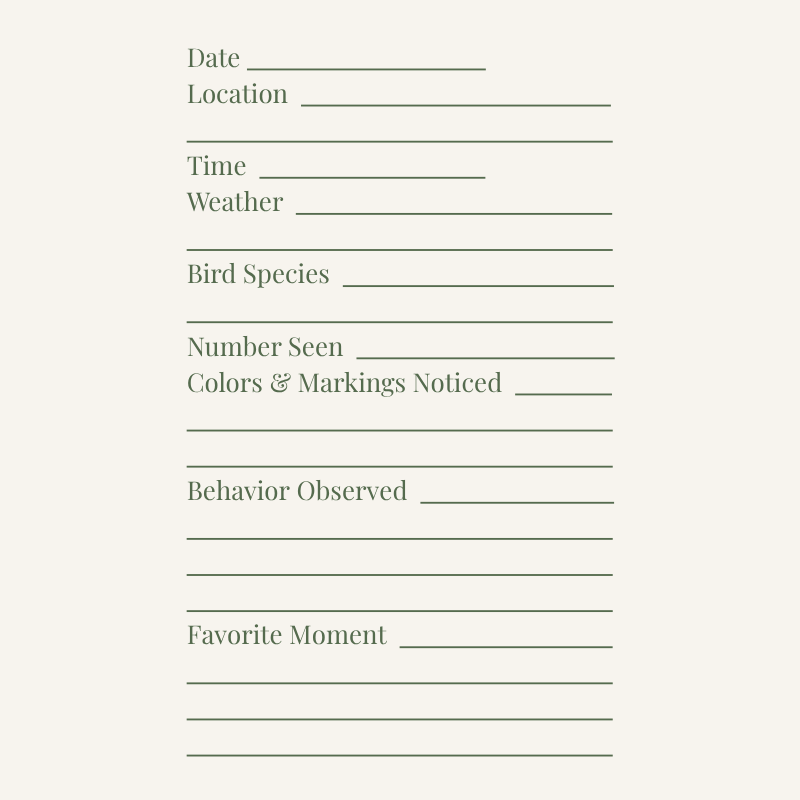 Cozy Bird Watching Journal: Sightings, Nature Notes, and Outdoor Discoveries | Willow Haven Co Cozy Bird Watching Journal: Sightings, Nature Notes, and Outdoor Discoveries - Image 3