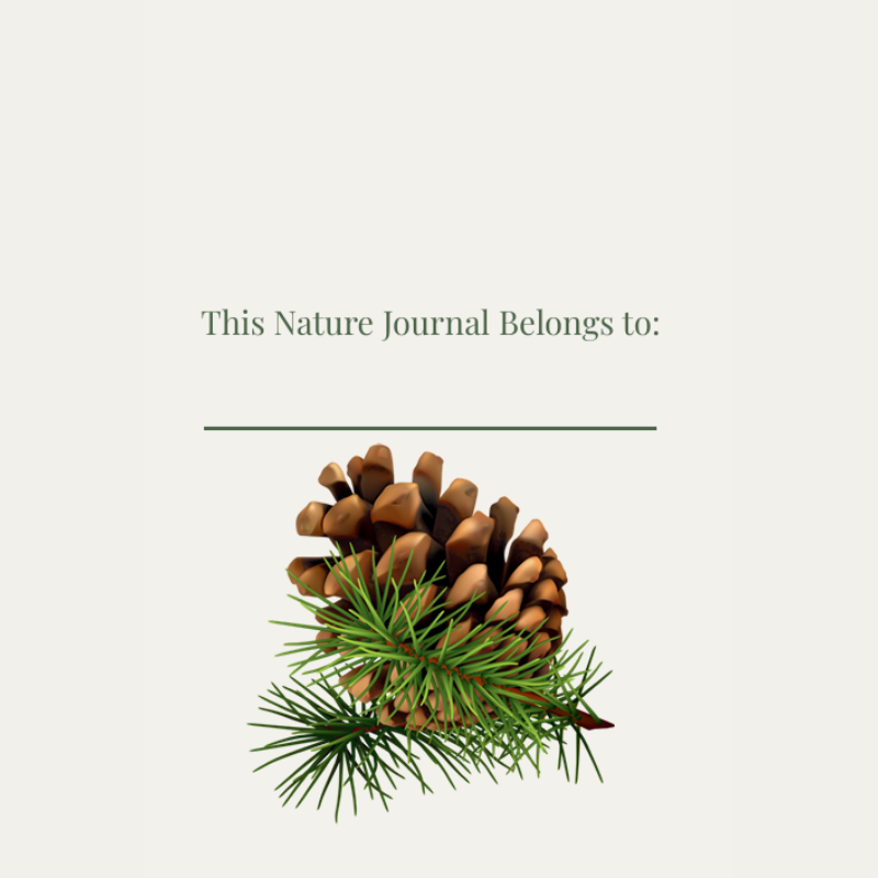 Cozy Nature Journal: Outdoor Reflections and Nature Observations | Willow Haven Co Cozy Nature Journal: Outdoor Reflections and Nature Observations - Image 2