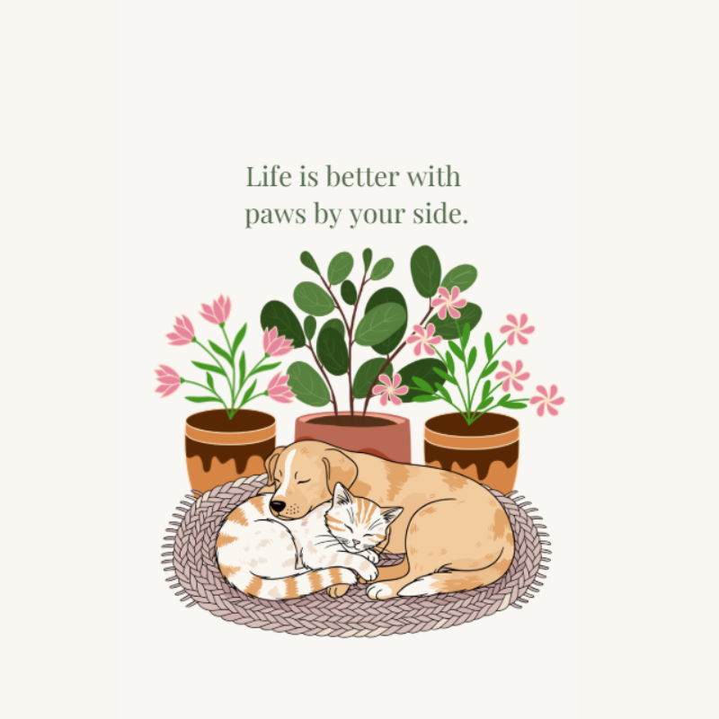 Cozy Pet Journal: A Keepsake Journal for Pet Lovers | Willow Haven Co Cozy Pet Journal: A Keepsake Journal for Pet Lovers - Image 4